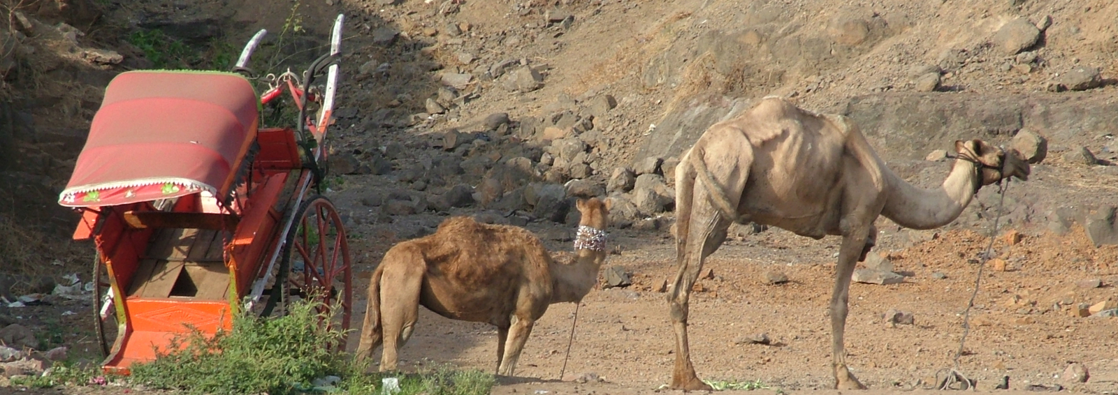 Bildergalerie Indien